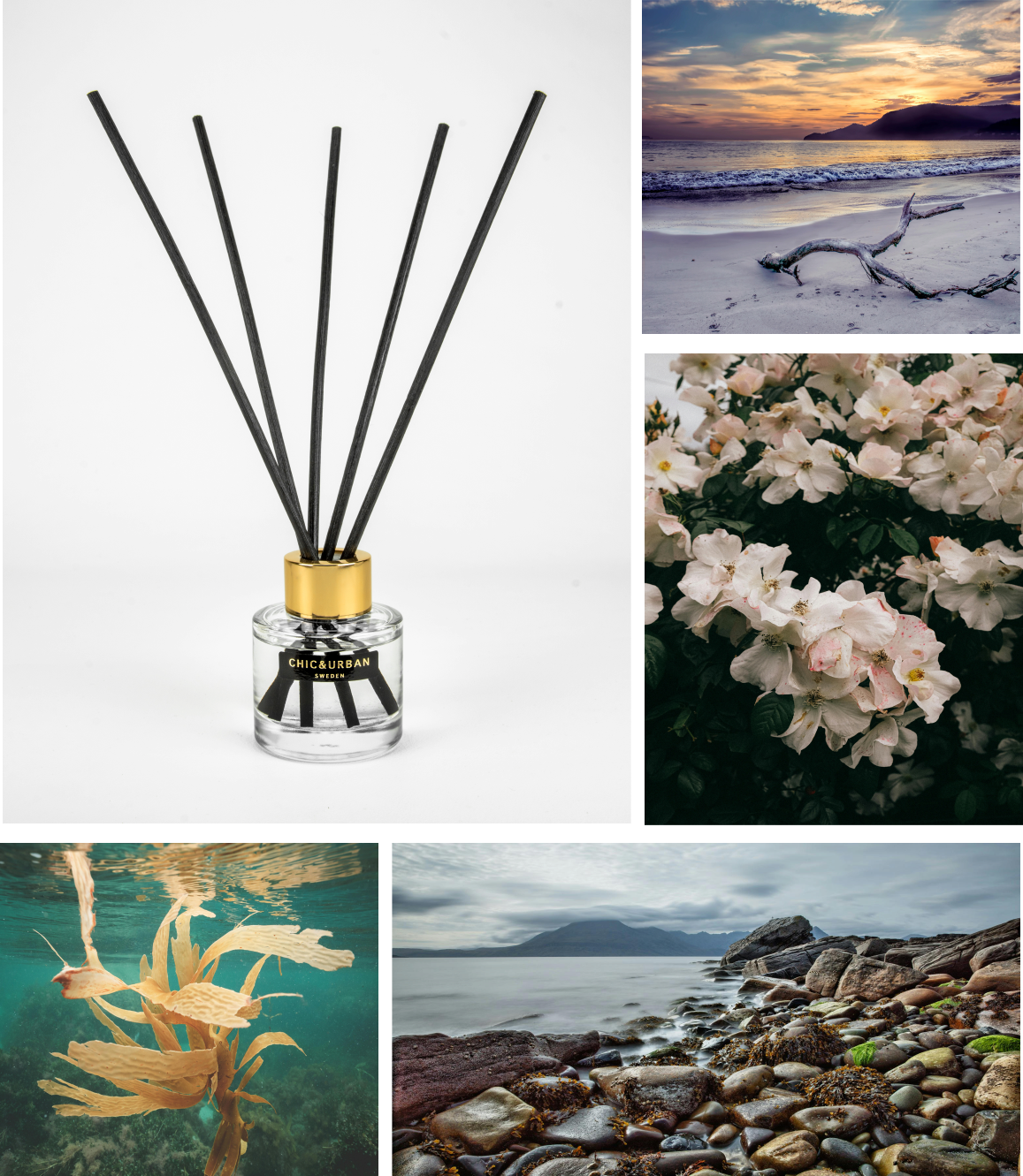 Reed Diffuser I SAVOIR