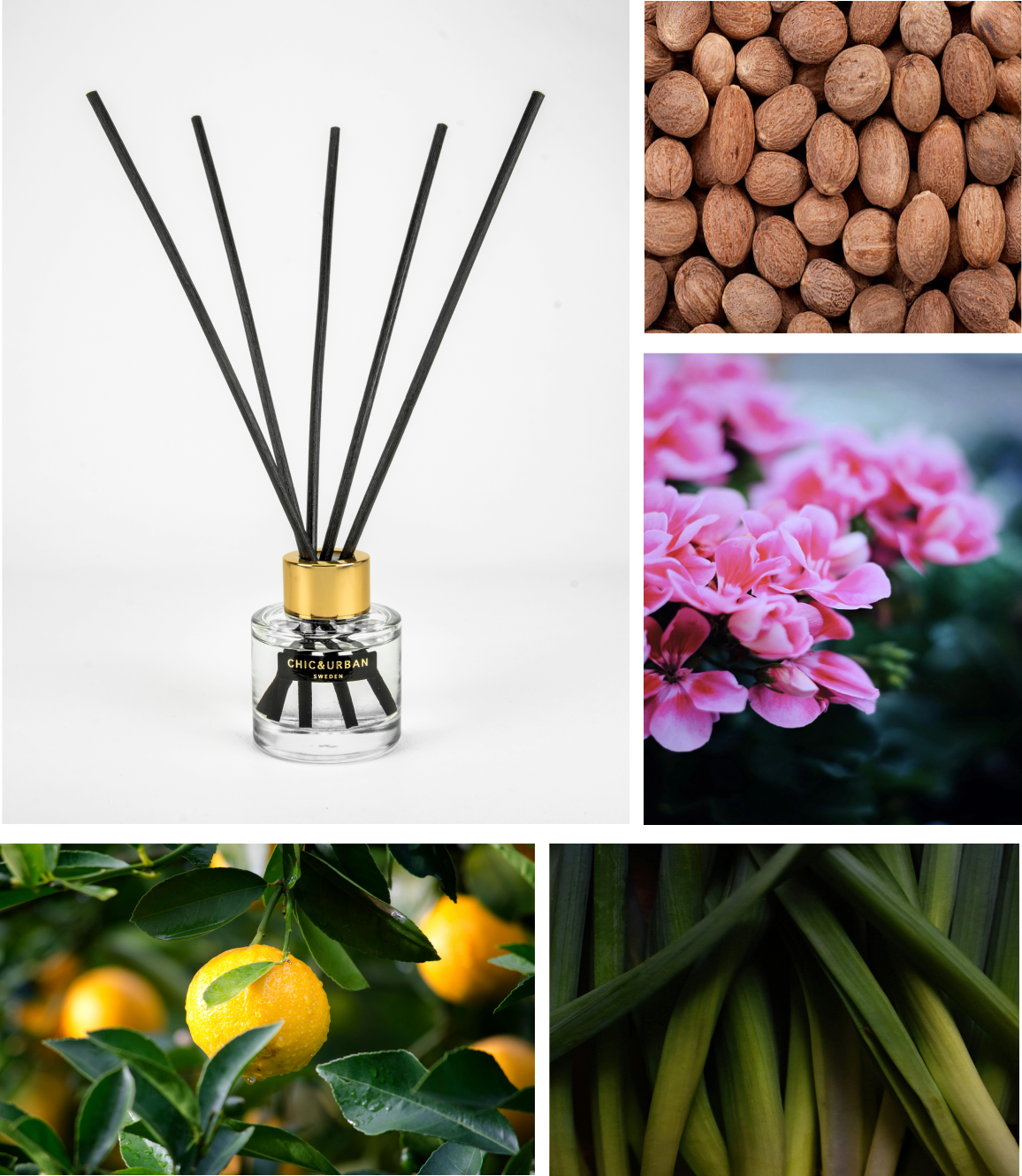 Reed Diffuser I LUMIÈRE