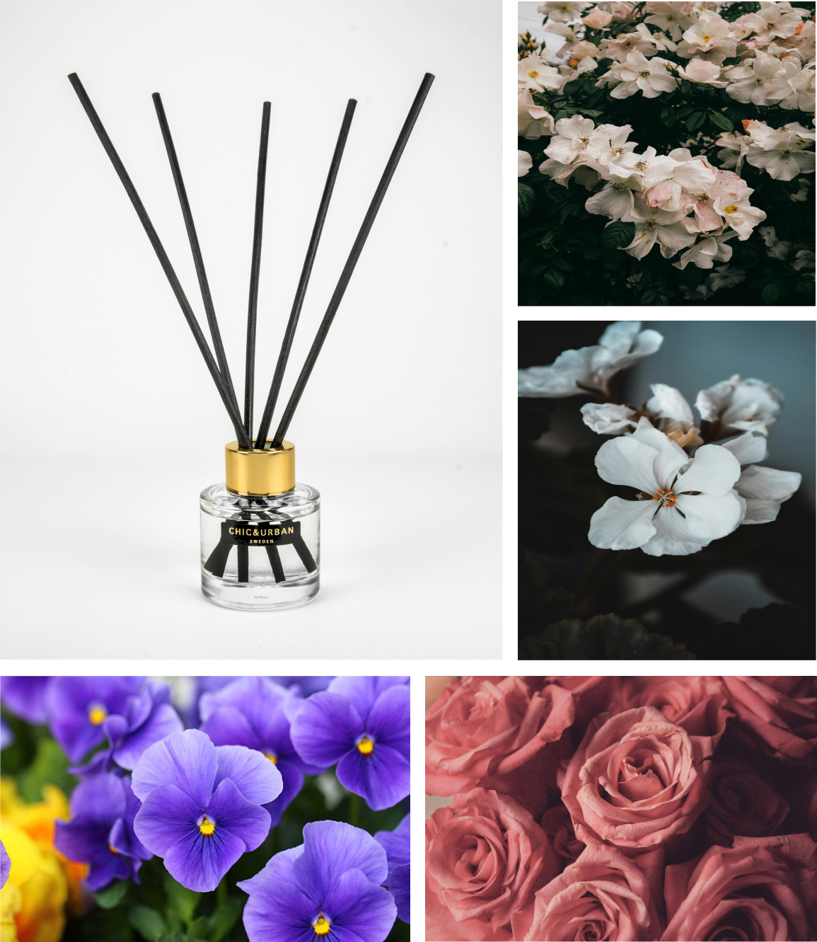 Reed Diffuser I MADEMOISELLE
