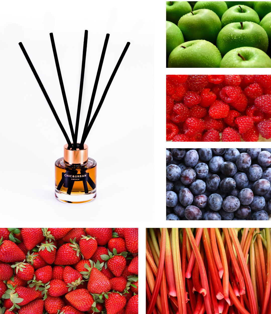Reed Diffuser I BLOOM BERRY