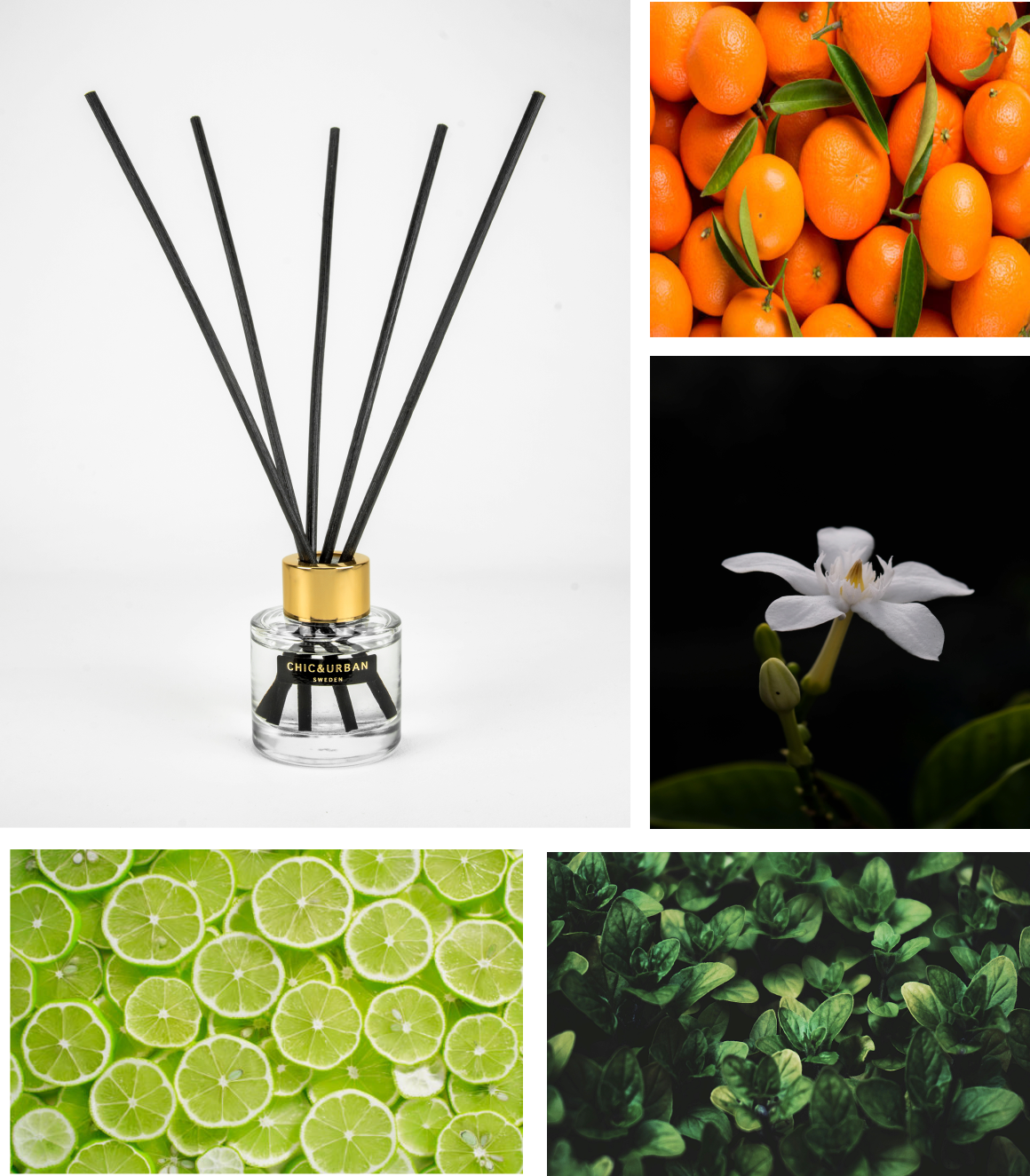 Reed Diffuser I NORDIC SUN