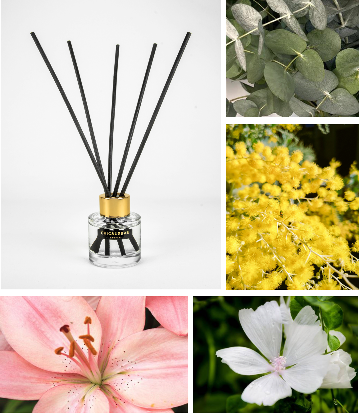Reed Diffuser I NOUVEAU
