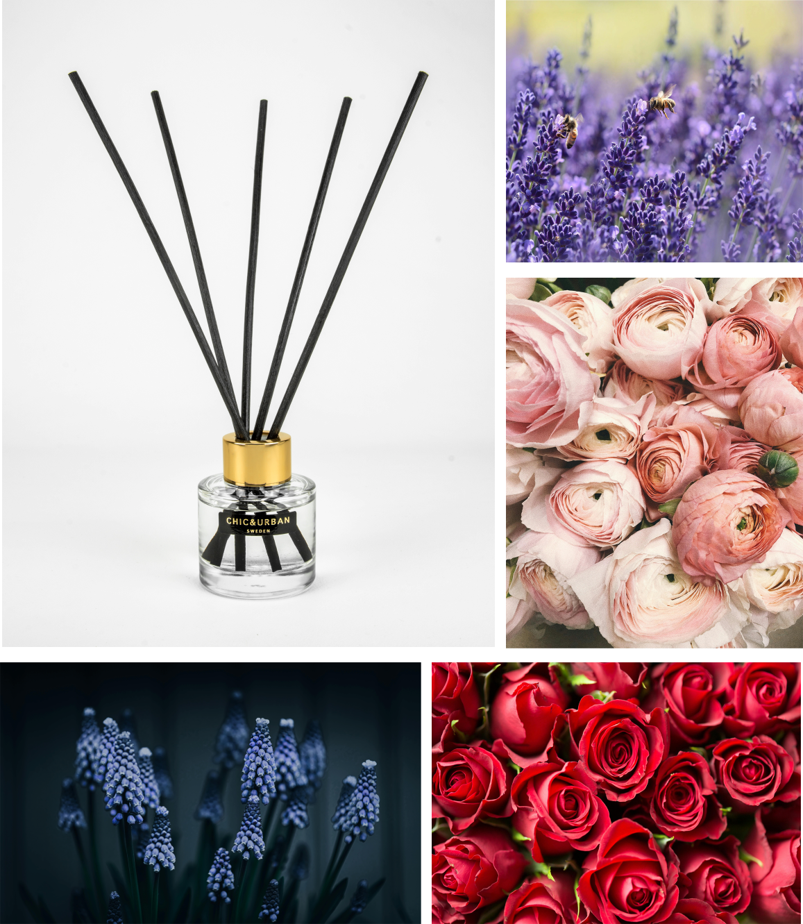 Reed Diffuser I JARDIN SAUVAGE