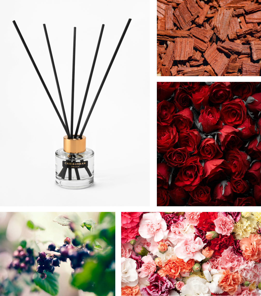 Reed Diffuser I HAUTE ROSE